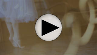 春風もようの部屋